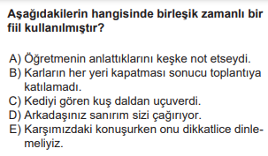 Soru Görseli